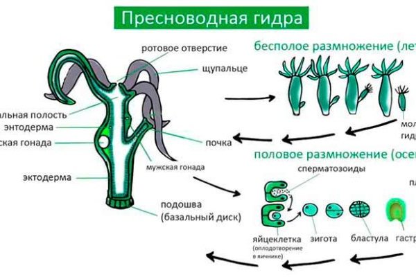 Кракен ссылка официальная