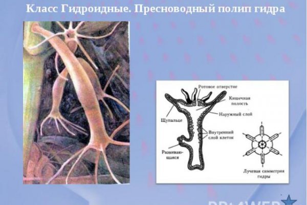 Купить наркоту