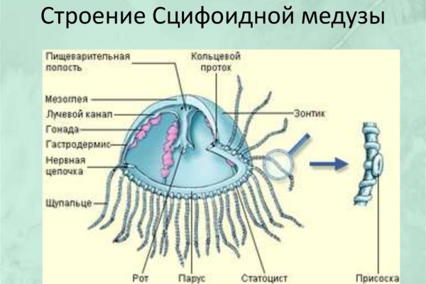 Кракен маркет даркнет слушать
