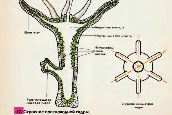 Кракен маркетплейс телеграм