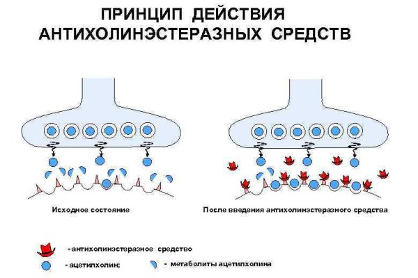 Kraken магазин интернет